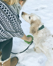 Load image into Gallery viewer, Green Poop Bags