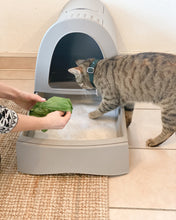 Load image into Gallery viewer, Green Poop Bags